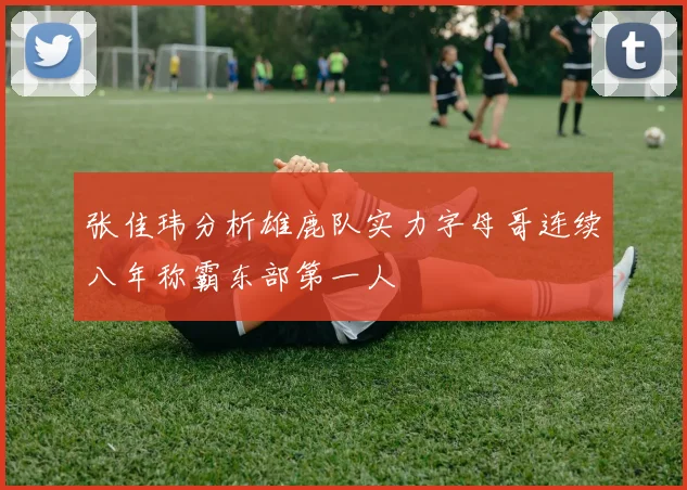 张佳玮分析雄鹿队实力字母哥连续八年称霸东部第一人