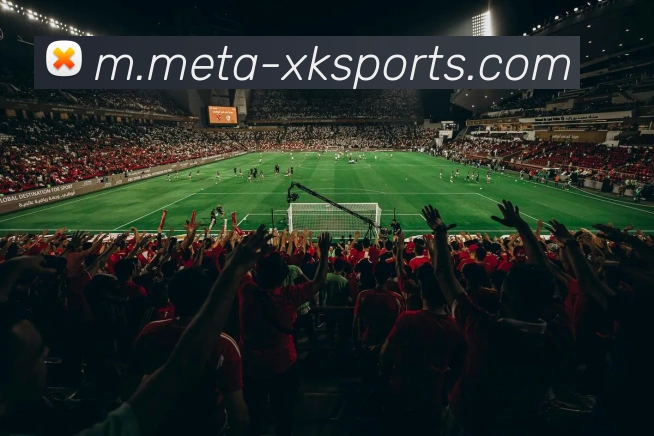 App Interface Preview