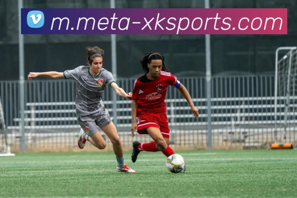 星空体育APP 封面图